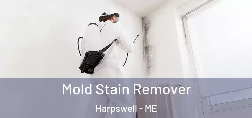  Mold Stain Remover Harpswell - ME