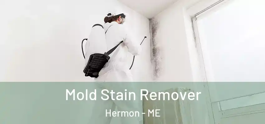 Mold Stain Remover Hermon - ME