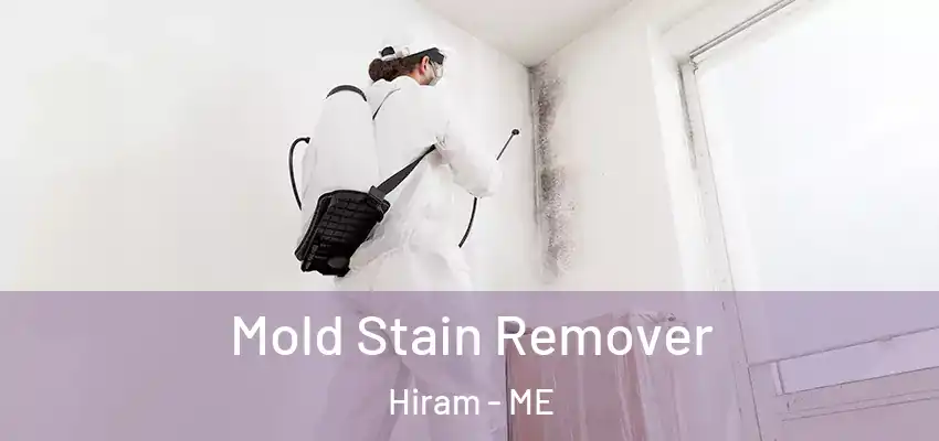 Mold Stain Remover Hiram - ME