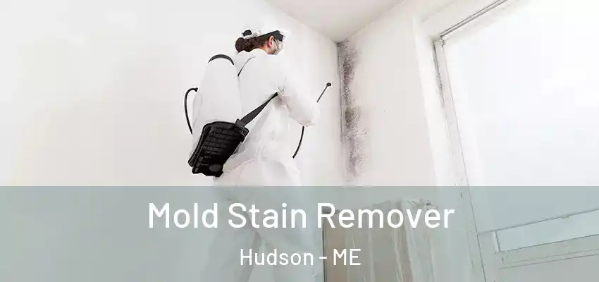 Mold Stain Remover Hudson - ME