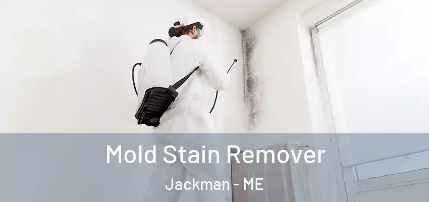 Mold Stain Remover Jackman - ME