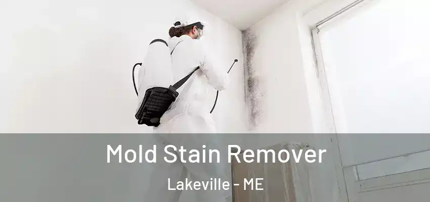 Mold Stain Remover Lakeville - ME