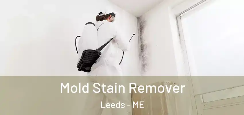  Mold Stain Remover Leeds - ME
