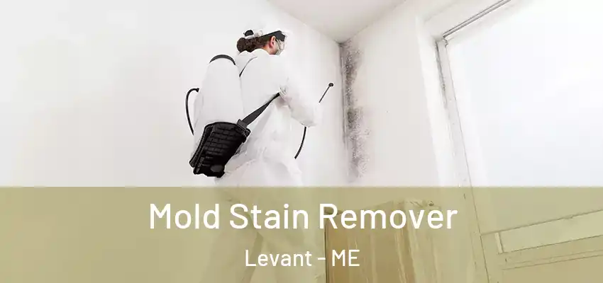  Mold Stain Remover Levant - ME