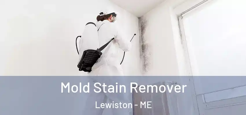  Mold Stain Remover Lewiston - ME