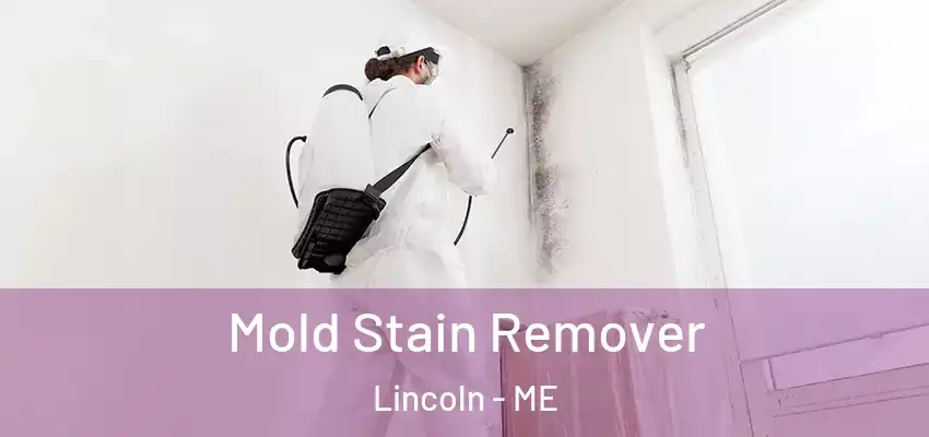  Mold Stain Remover Lincoln - ME