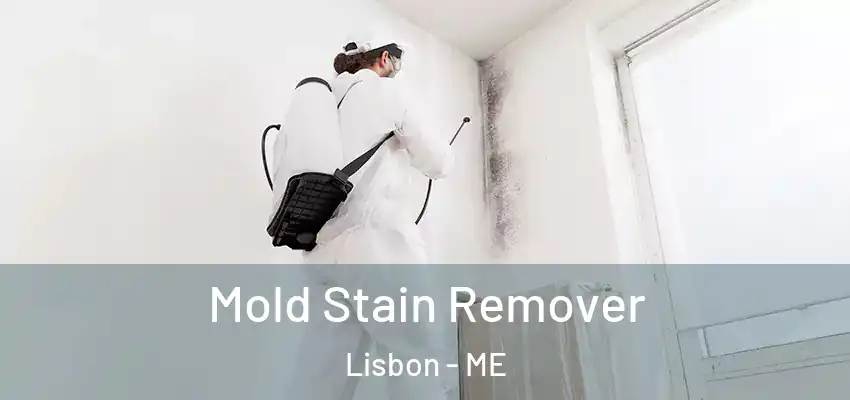 Mold Stain Remover Lisbon - ME