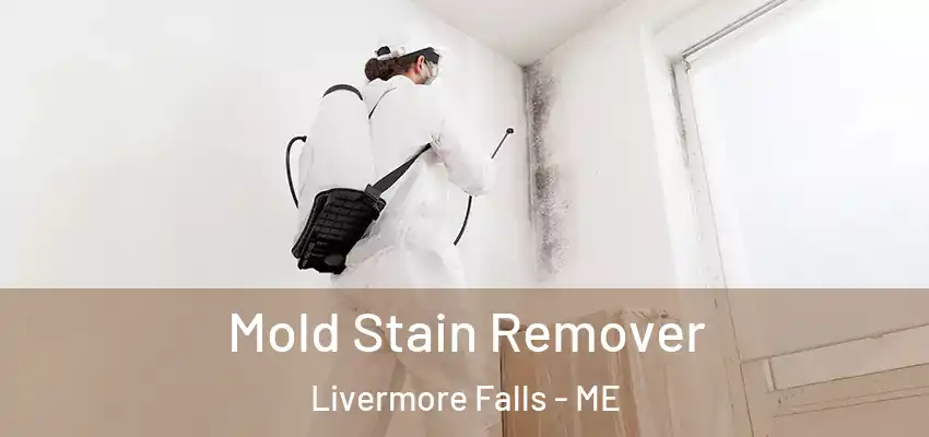  Mold Stain Remover Livermore Falls - ME