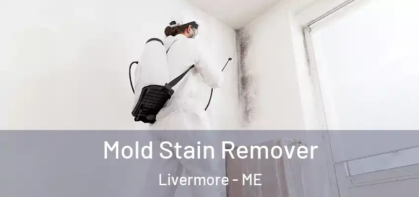  Mold Stain Remover Livermore - ME