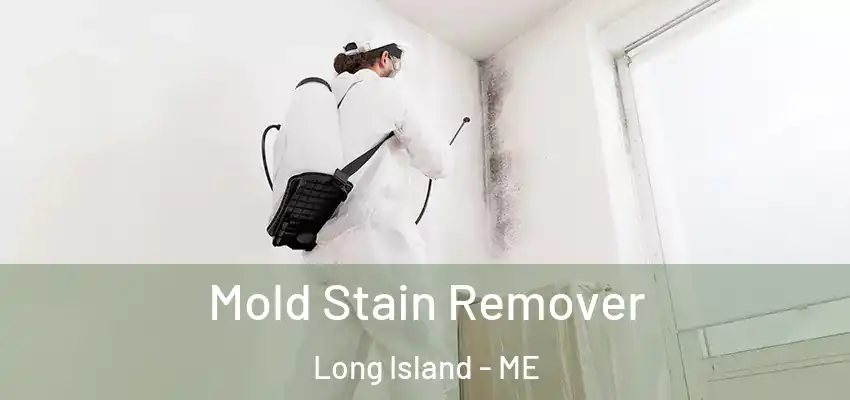 Mold Stain Remover Long Island - ME