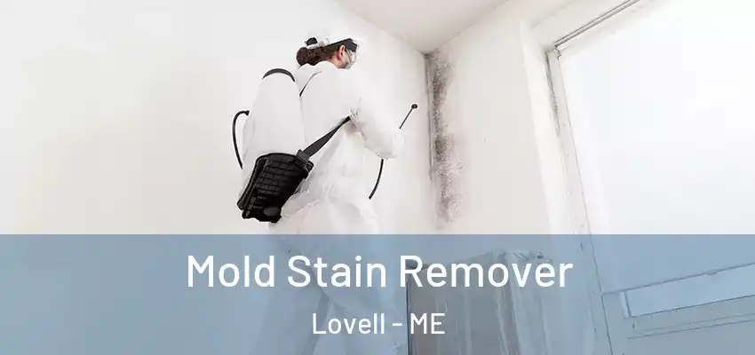  Mold Stain Remover Lovell - ME