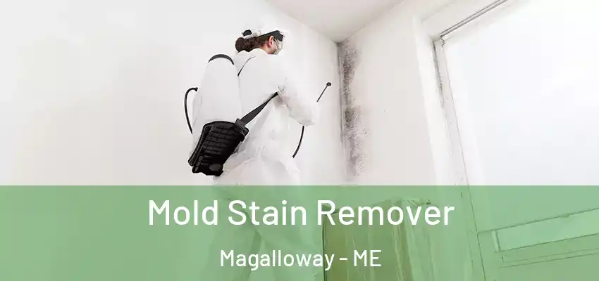 Mold Stain Remover Magalloway - ME