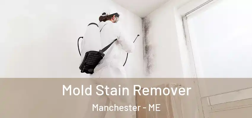 Mold Stain Remover Manchester - ME
