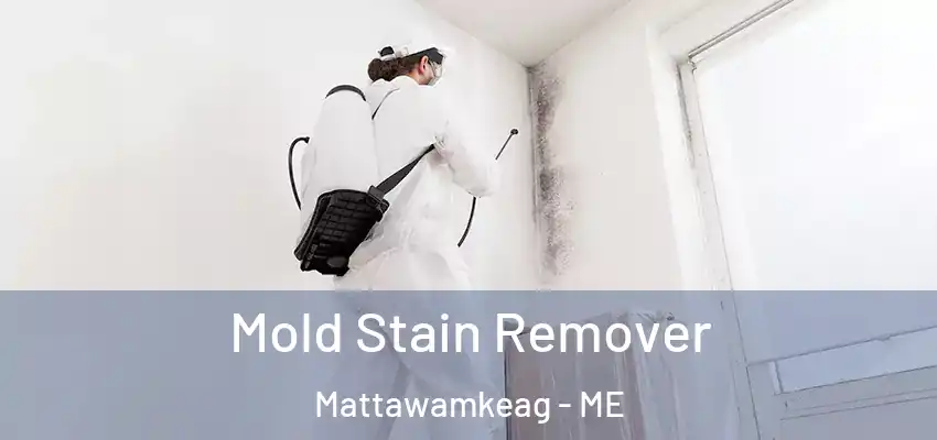  Mold Stain Remover Mattawamkeag - ME