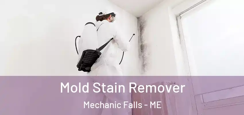  Mold Stain Remover Mechanic Falls - ME