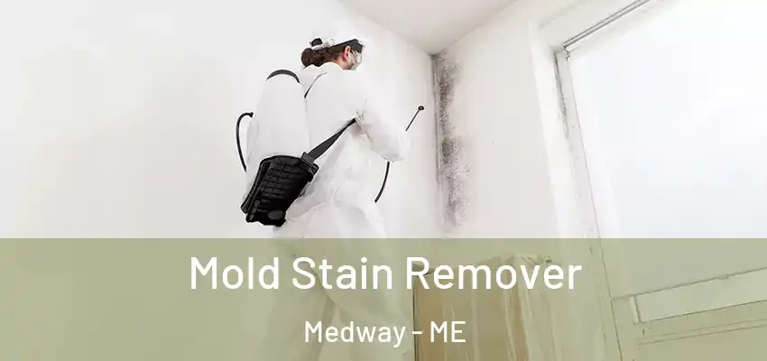 Mold Stain Remover Medway - ME