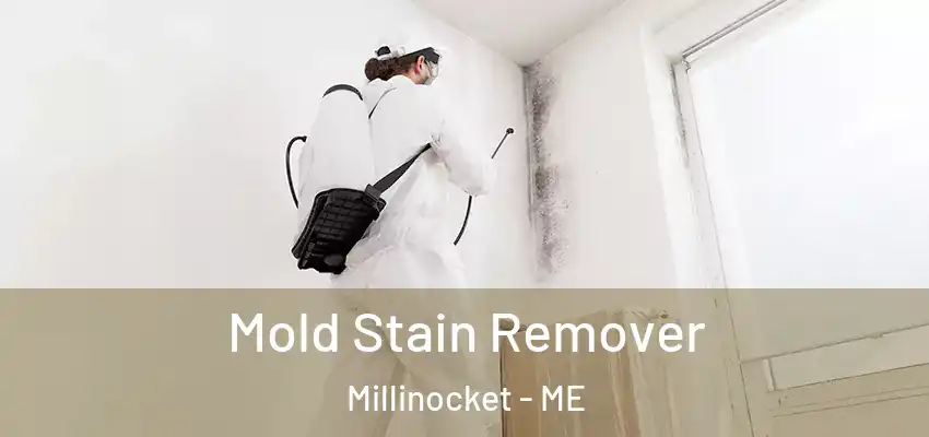  Mold Stain Remover Millinocket - ME