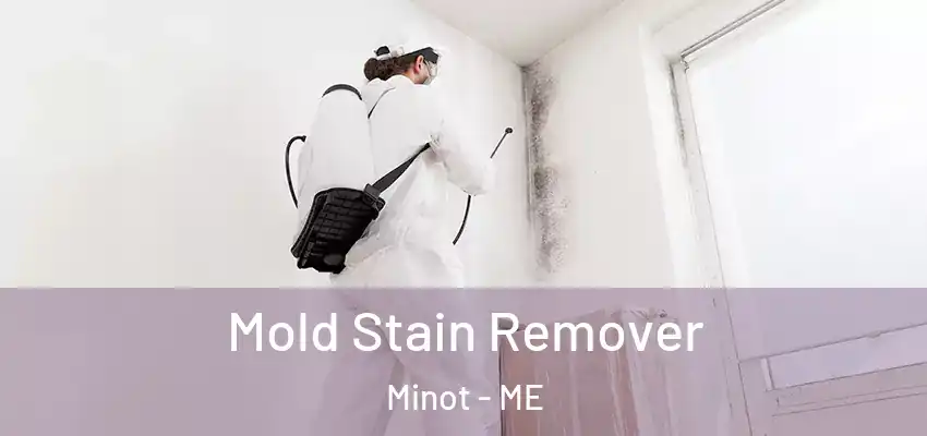 Mold Stain Remover Minot - ME
