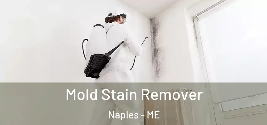  Mold Stain Remover Naples - ME