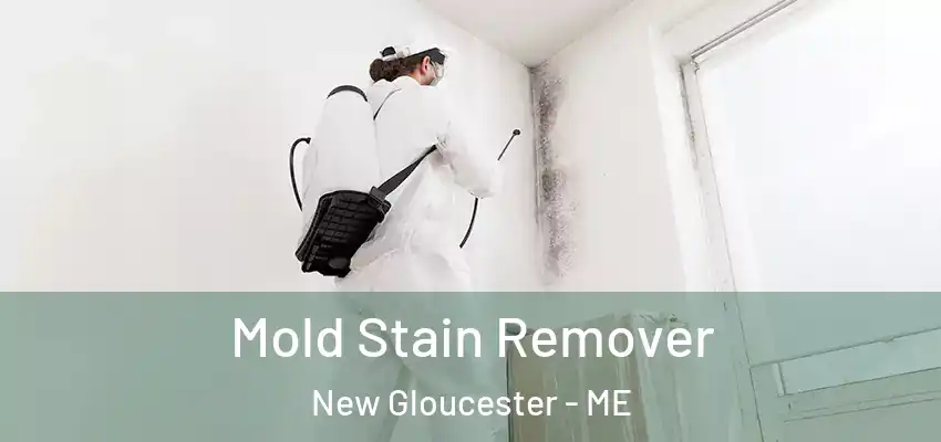 Mold Stain Remover New Gloucester - ME