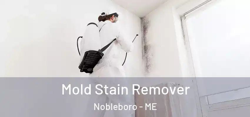  Mold Stain Remover Nobleboro - ME