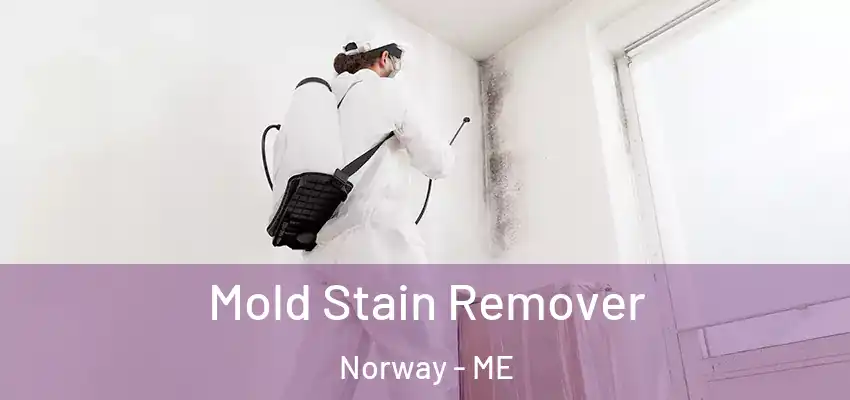  Mold Stain Remover Norway - ME