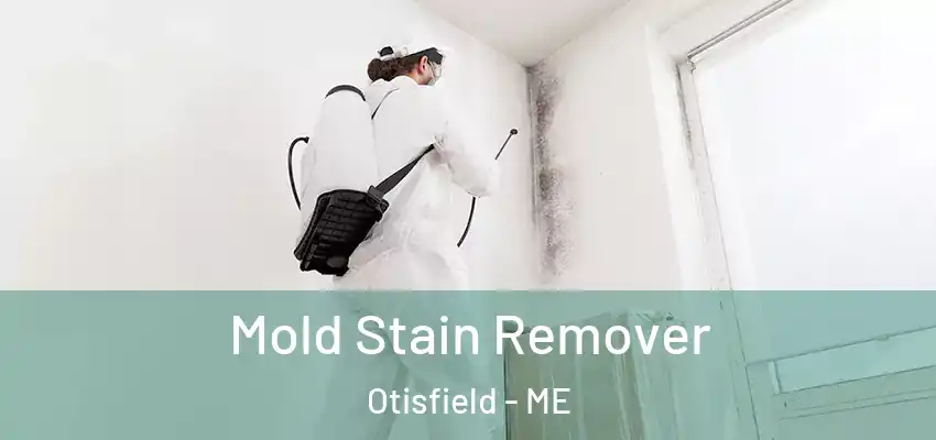  Mold Stain Remover Otisfield - ME