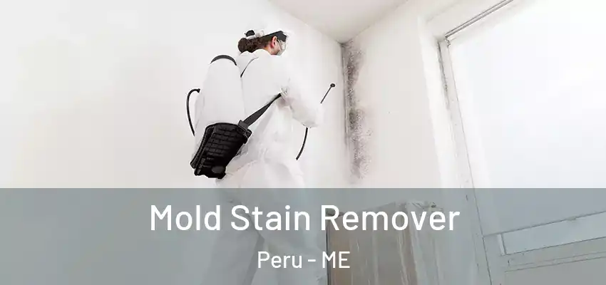  Mold Stain Remover Peru - ME