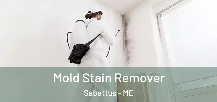 Mold Stain Remover Sabattus - ME