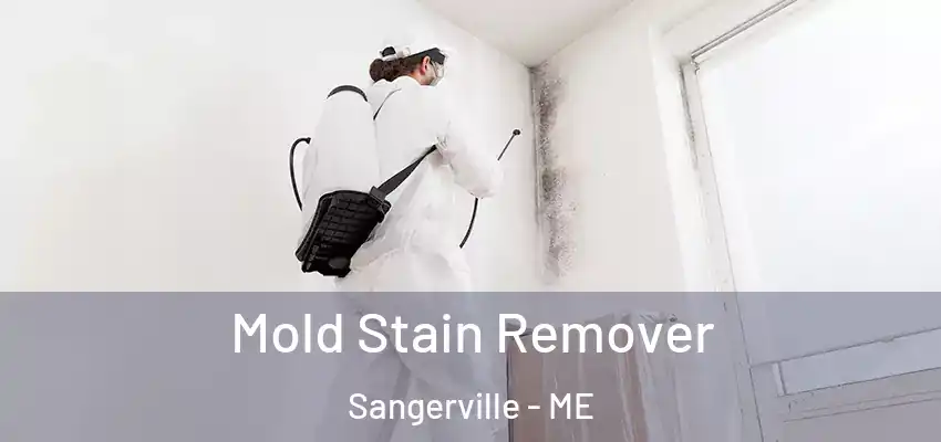  Mold Stain Remover Sangerville - ME