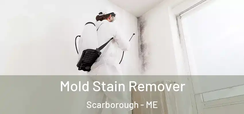 Mold Stain Remover Scarborough - ME