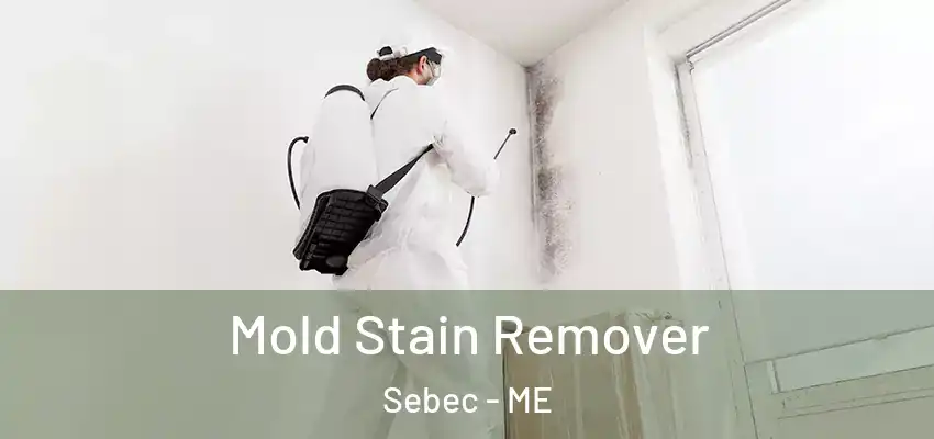  Mold Stain Remover Sebec - ME