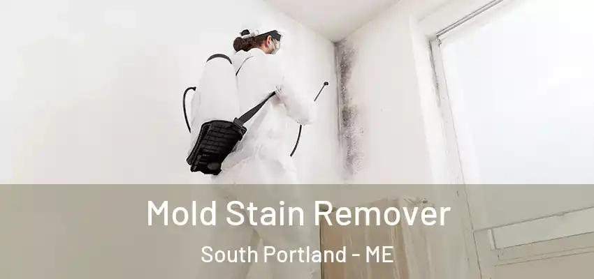 Mold Stain Remover South Portland - ME