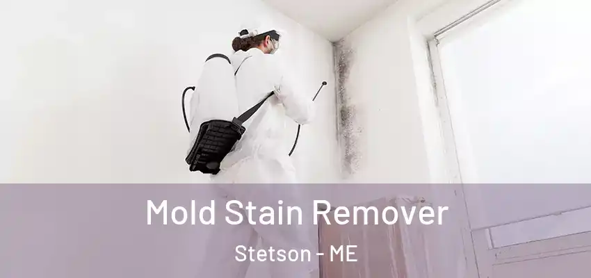  Mold Stain Remover Stetson - ME