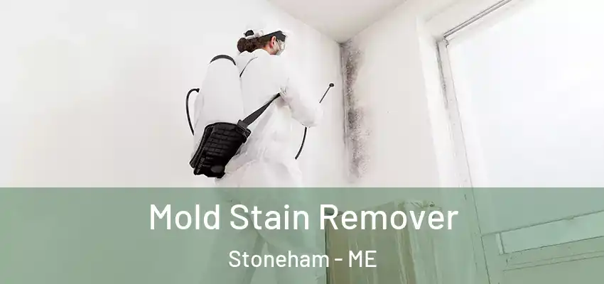 Mold Stain Remover Stoneham - ME
