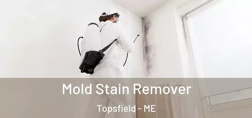  Mold Stain Remover Topsfield - ME