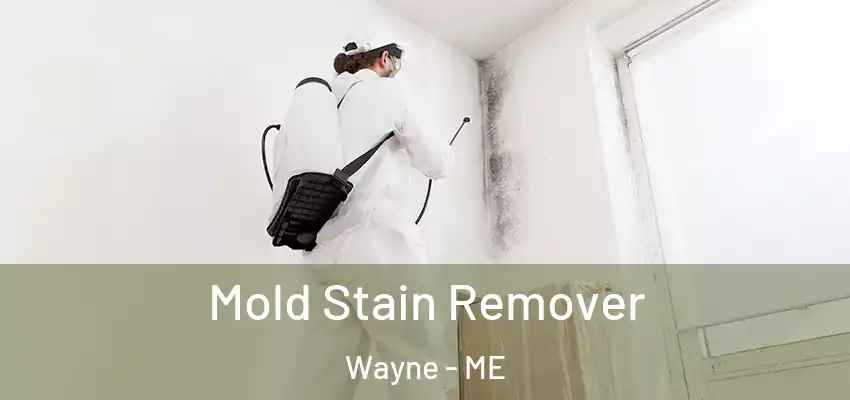 Mold Stain Remover Wayne - ME
