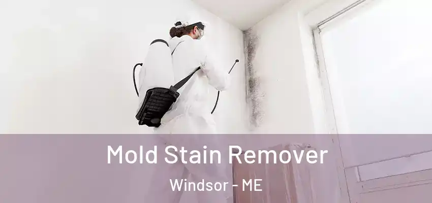  Mold Stain Remover Windsor - ME