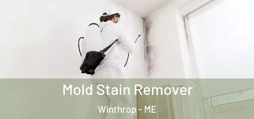 Mold Stain Remover Winthrop - ME