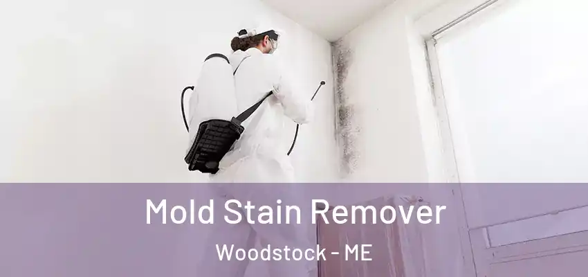 Mold Stain Remover Woodstock - ME