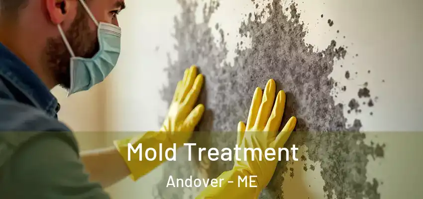  Mold Treatment Andover - ME