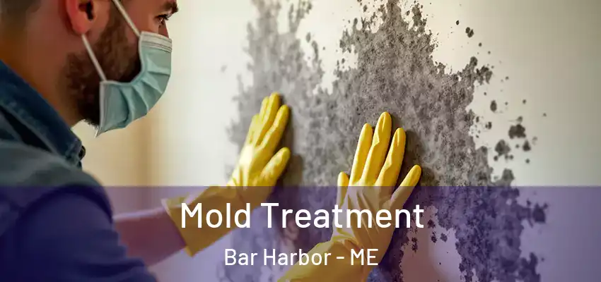 Mold Treatment Bar Harbor - ME