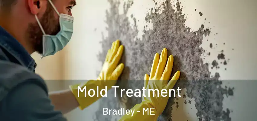 Mold Treatment Bradley - ME