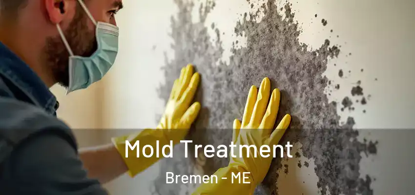 Mold Treatment Bremen - ME