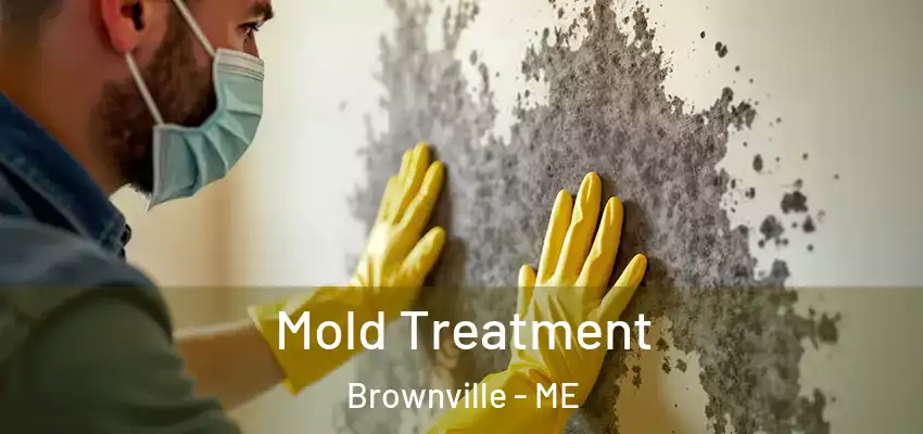 Mold Treatment Brownville - ME