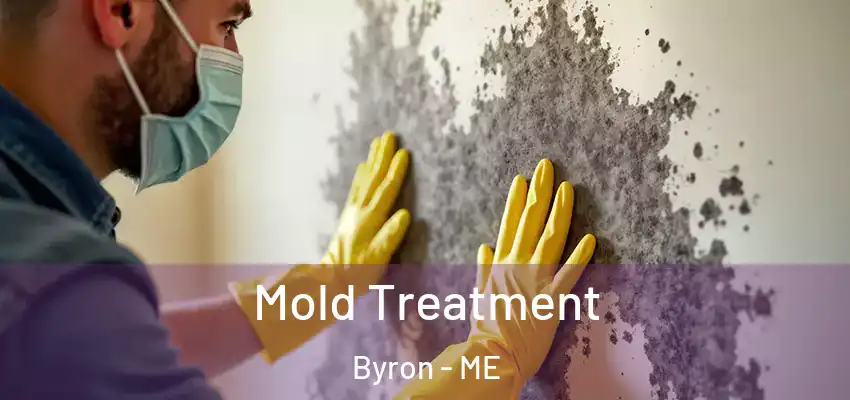 Mold Treatment Byron - ME