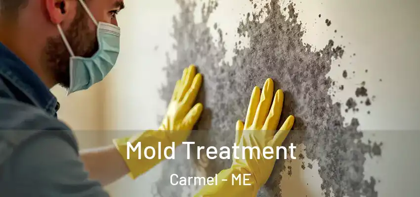  Mold Treatment Carmel - ME