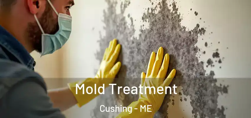  Mold Treatment Cushing - ME