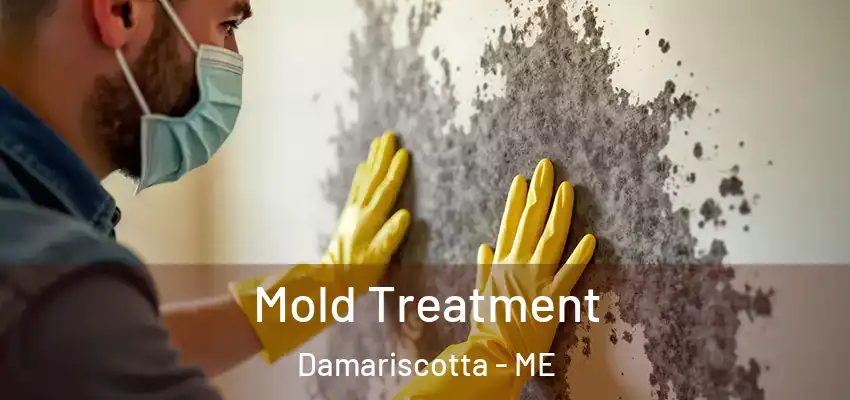  Mold Treatment Damariscotta - ME