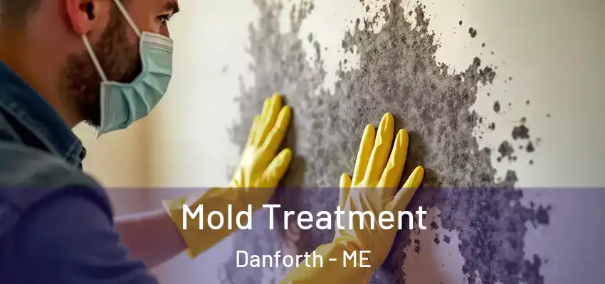  Mold Treatment Danforth - ME